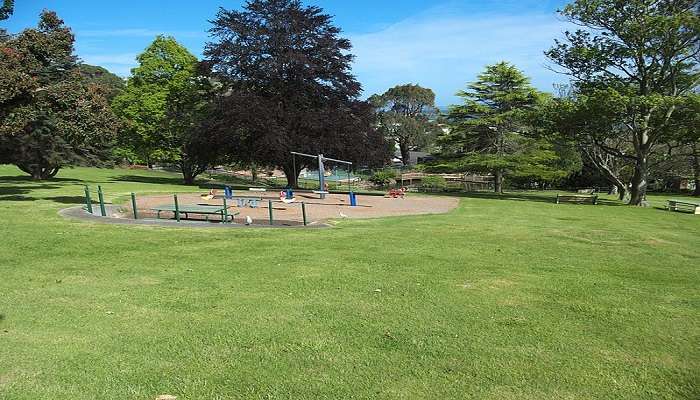 Lush Green Park