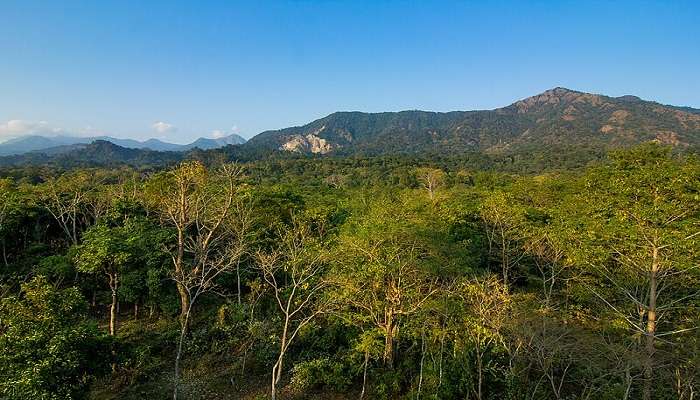 Buxa Tiger Reserve near Nature Interpretation Centre in Kalimpong.