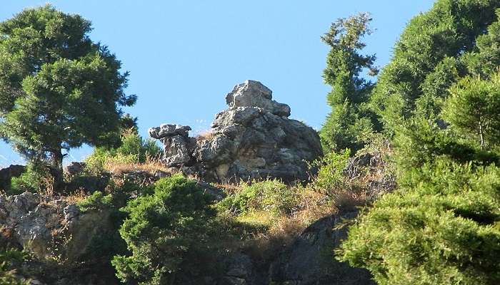 Camel Back Road Mussoorie Hotels