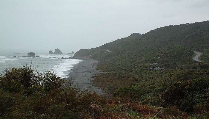 Scenic coastal walkway with ocean views and playful seal colony