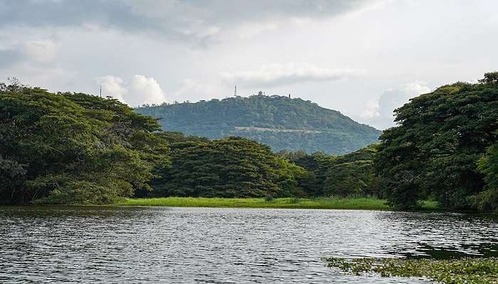 Amazing beauty of Chamundi hills near Siddhartha Nagar