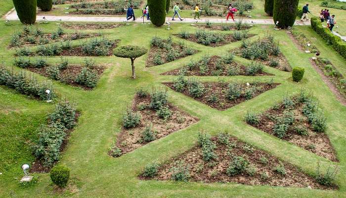 Get exploring, and let the hidden gems and natural beauty amaze you in Chashma Shahi Garden.