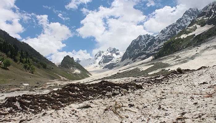 Chinta Valley in Bhaderwah is a must-visit.