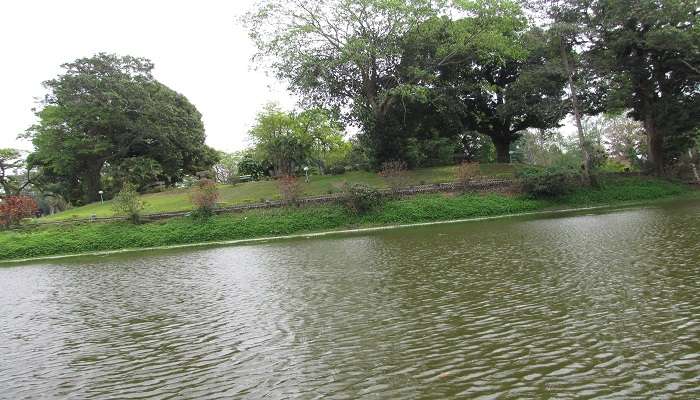 Lake at Chitralekha Udyan is one of the most attractive tourist places near Tezpur.