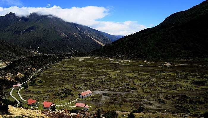 Chopta Valley Sikkim