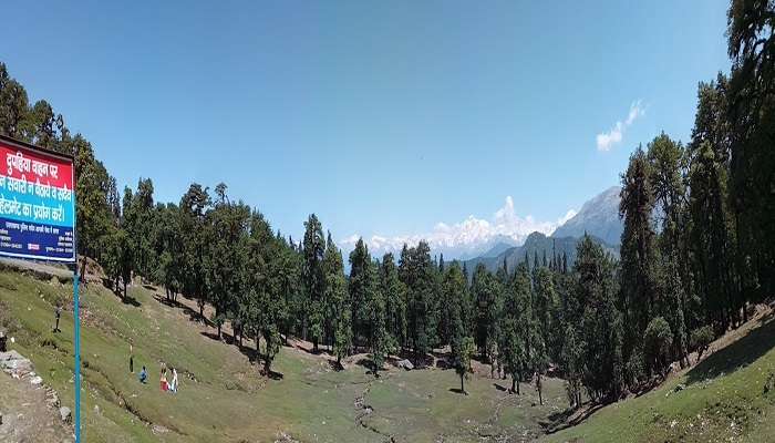 Beautiful view of Chopta Valley.