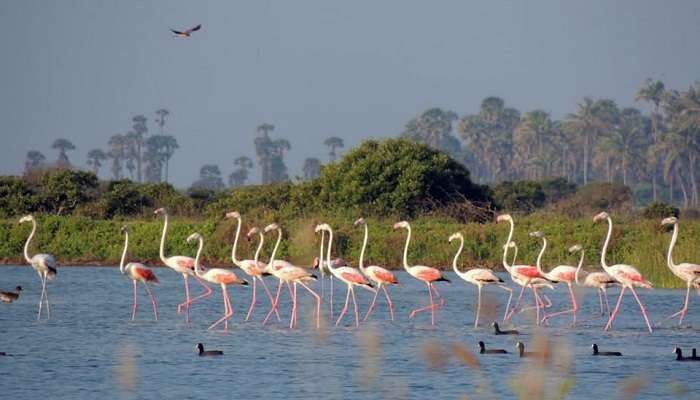 The Chundikulam National Park is a must visit for nature-lovers