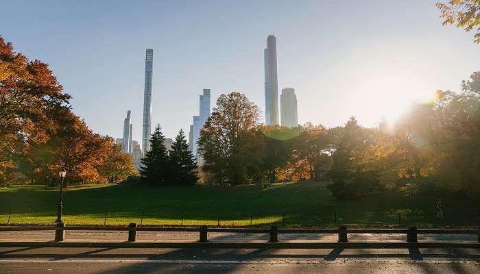 A vibrant scene of City Park with flowers in full bloom