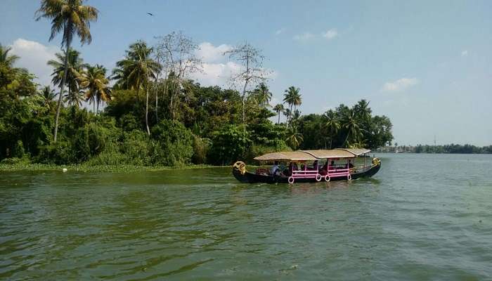 The concept of tourism should be sustainable so as not to destroy the beauty and natural scenery of Kayamkulam Kayal.