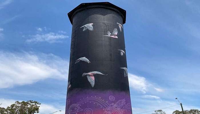 Mural on Coonamble Water Tower