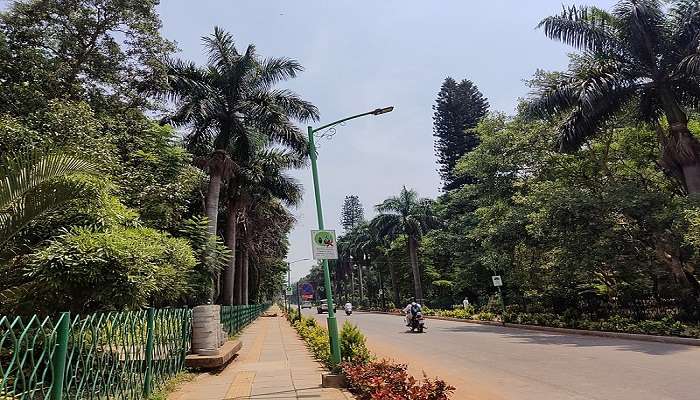 The inner road & beautiful flora of Cubbon park, a few minutes away from Raghavendra Nagar.