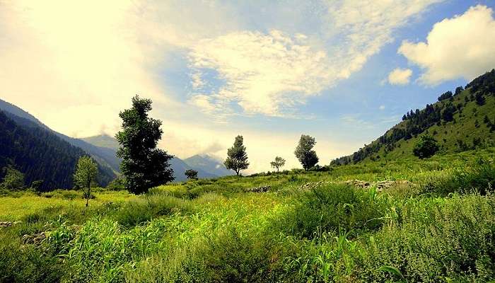 Get exploring, and let the hidden gems and natural beauty amaze you in Pulwama.