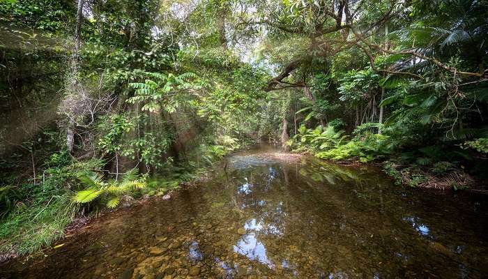 Visit the discovery centre of Daintree National Park