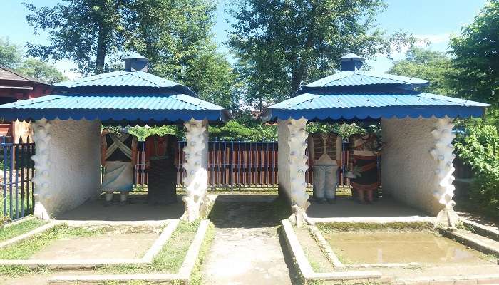  SeasColourful statues at Pokhara. onal Flower at Davis Fall