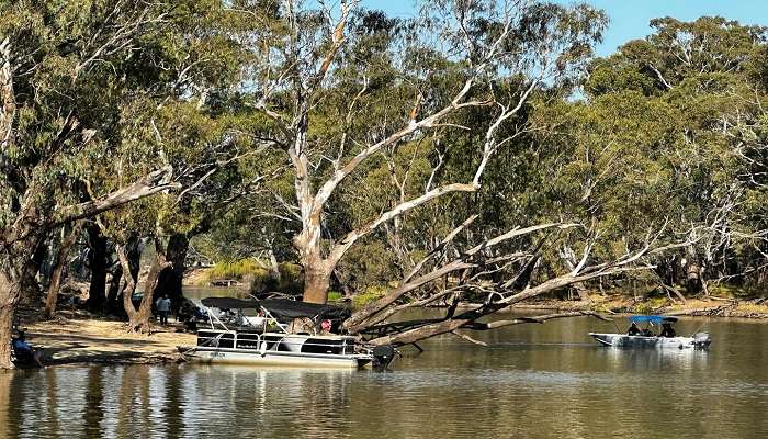 A Beautiful View of Deniliquin Riverside Caravan Park