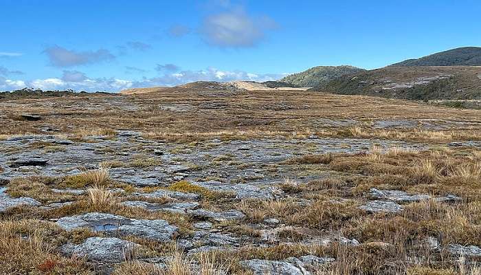 Historic Denniston Plateau with rugged landscapes and stunning panoramic views