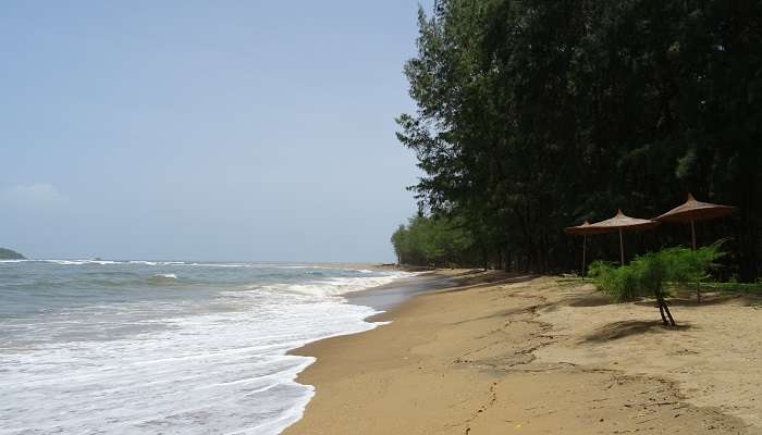 Devbagh near the Rabindranath Tagore beach.