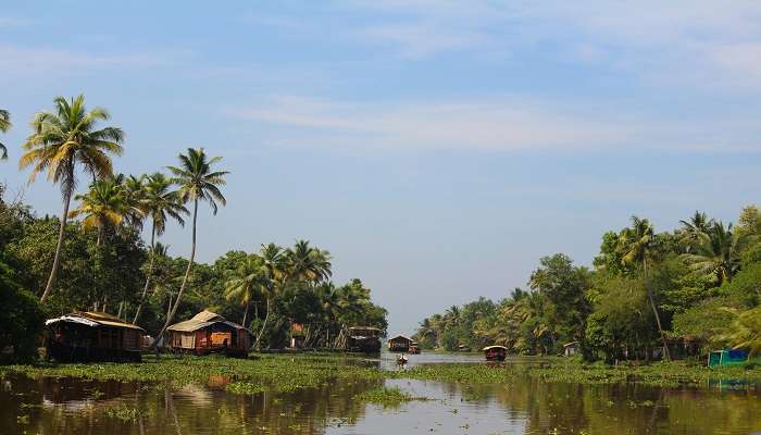 Dhanyapuri Backwaters in Mulanthuruthy