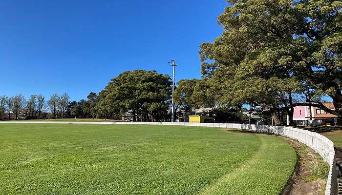 Serene park with lush greenery and walking trails.