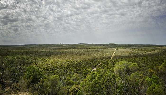 An image of desert wilderness area, Victoria, Australia in Mildura.