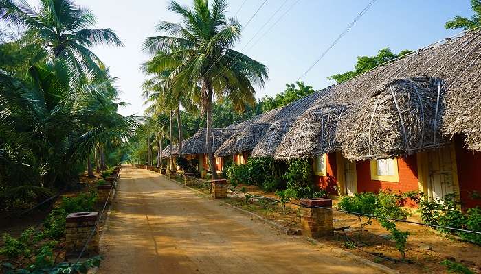 You may visit the Panmana Ashram during the best times in Kerala.