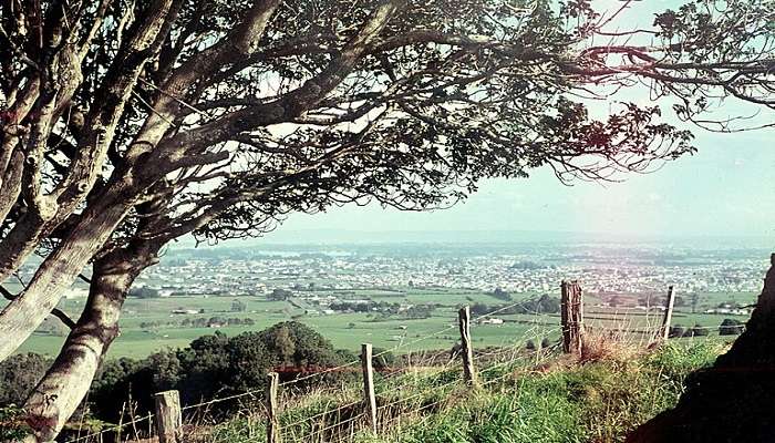 The view from Red Hills of Papakura is one of the best in New Zealand.