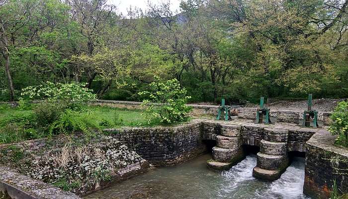 The pathway across the Kishtwar National Park is very beautiful.