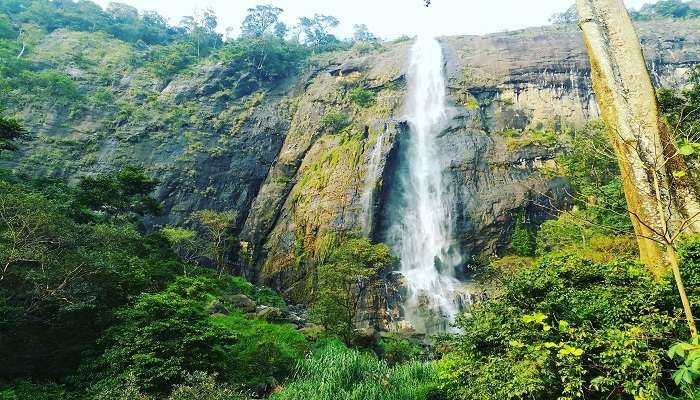 ways to reach Diyaluma Falls