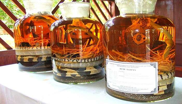 Snake wine displayed at Dong Tam Snake Farm at My Tho.