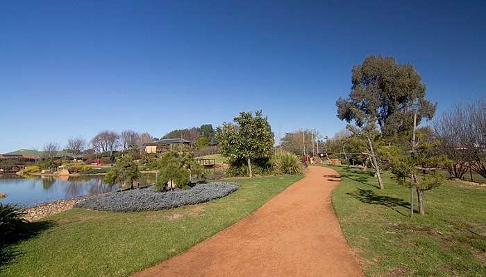 A vibrant scene of the Dubbo Regional Botanic Garden with native flora.