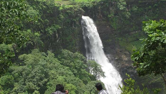 Dugarwadi Waterfalls