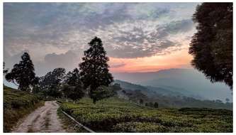 wayanad top 10 tourist places