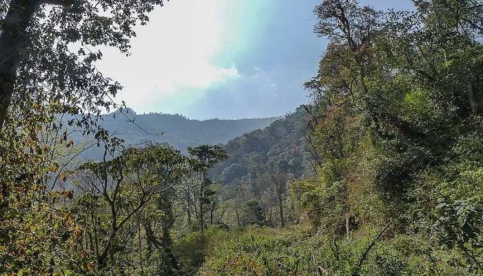 View of Eaglenest Wildlife Sanctuary