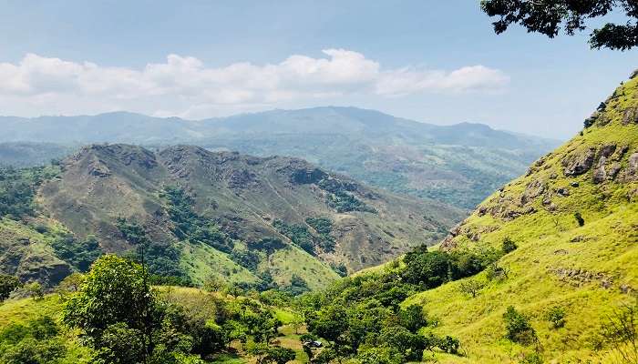 Ella mountains near Dambatenne Tea Factory