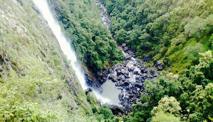 Explore Ellenborough Falls, a top things to do in taree.