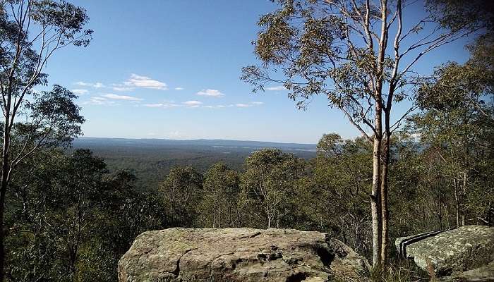 A Beautiful View from Mt. Tomalpin, Werakata National Park