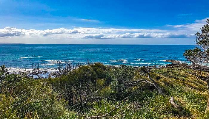 Natural beauty of Australia