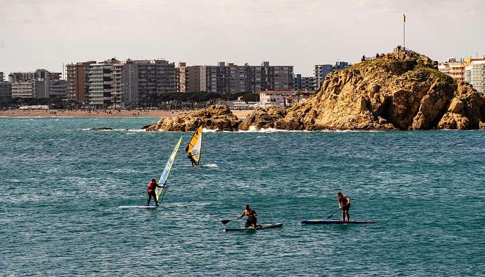 Water Activities in Rushcutters Bay