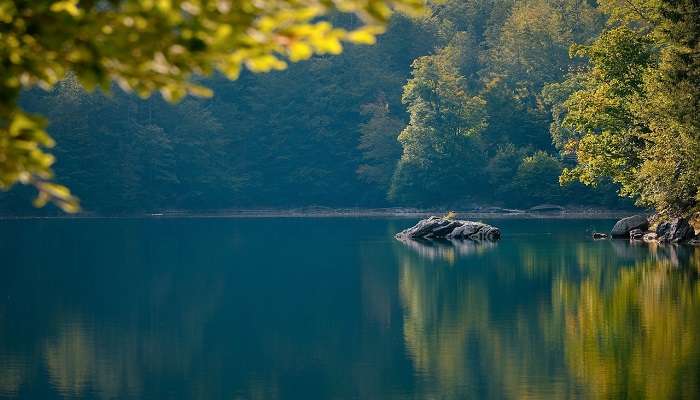 The waters of Lake Ngatu are relatively calm and gentle, mixed with green vegetation.