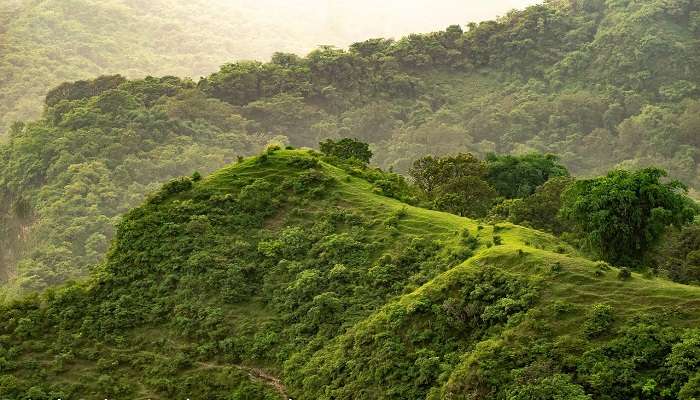 The green Ettimadai Hill