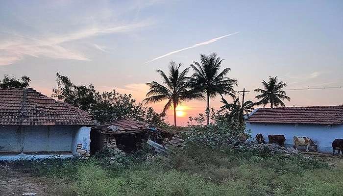 Experience the local culture at Uppilipalayam