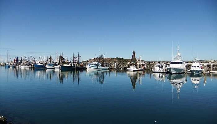 The Coffs Harbour Jetty