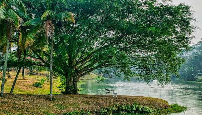 A Riverside Park at Kempsey.