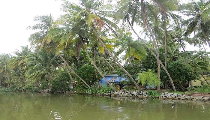 visit the most majestic eranna suranna ancient stone yedahalli backwaters island which is a top destination when visiting yelwal