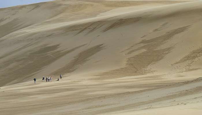 An expanse of Te Paki Sand Dunes just north of Kaitaia, excellent for sandboarding