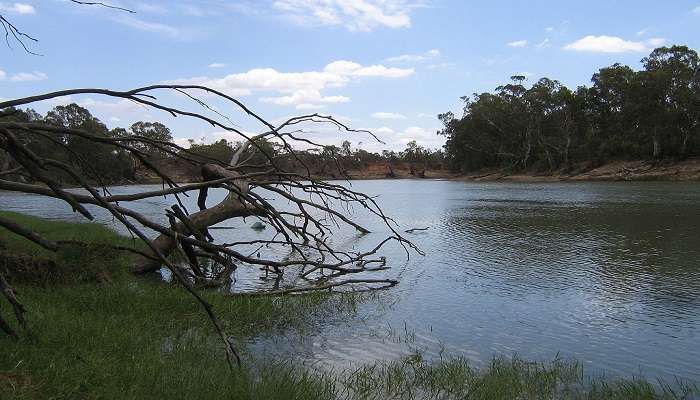 A pleasing view of the Murray River, one of the top things to do in Wodonga.