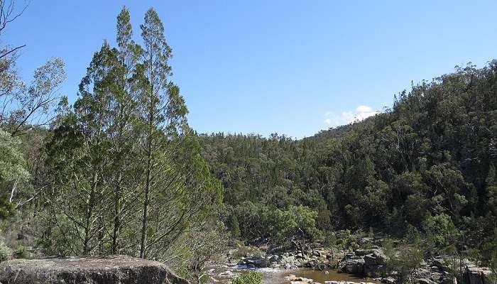 A beautiful view of Warrabah National Park