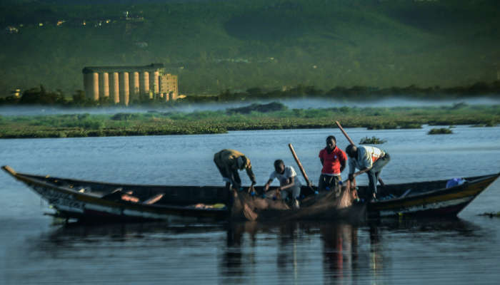 Fishing in Greymouth – Any angler who has tried their luck in the rivers of Greymouth okolí.