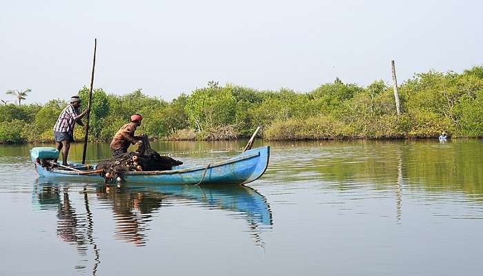 Achankovil River is another scenic water body that would dissolve one in its natural serene environment away from the hustle and bustle of a sumptuous state.