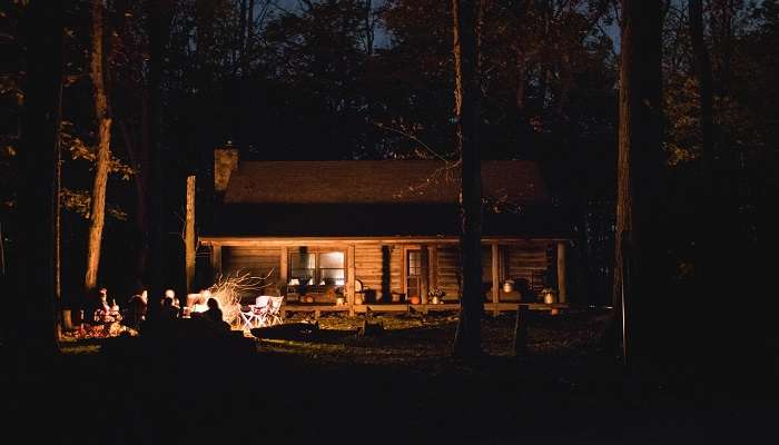 A view of forest cabin stays